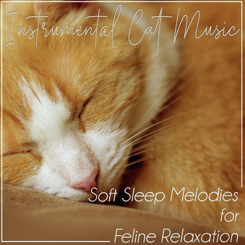 Instrumental Cat Music: Soft Sleep Melodies for Feline Relaxation