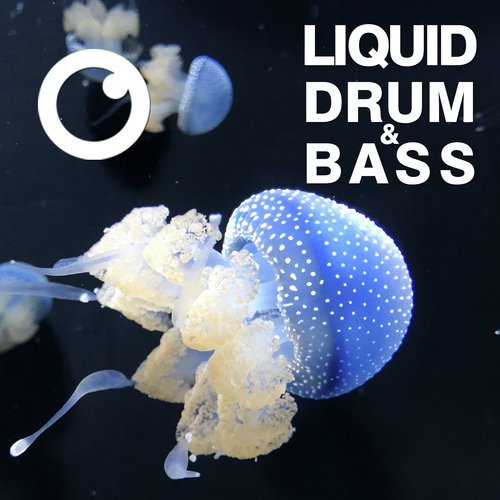 Liquid Drum & Bass Sessions 2020 Vol 23 (The Mix)