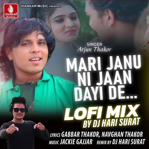 Mari Janu Ni Jaan Dayi De Lofi Mix