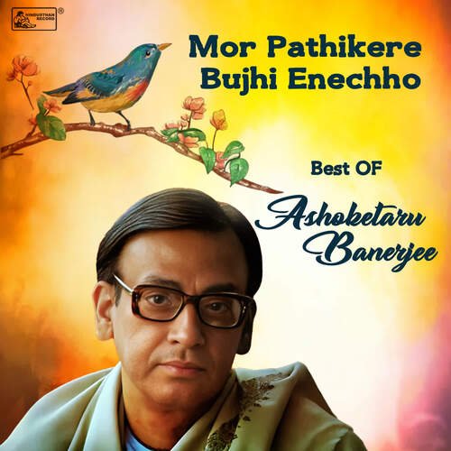 Mor Pathikere Bujhi Enechho