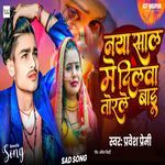 Naya Sal Me Dilwa Torale Baru