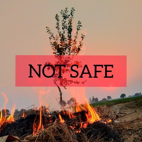 Not Safe_poster_image