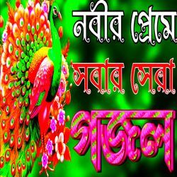 Paile Niralaygo Nobi