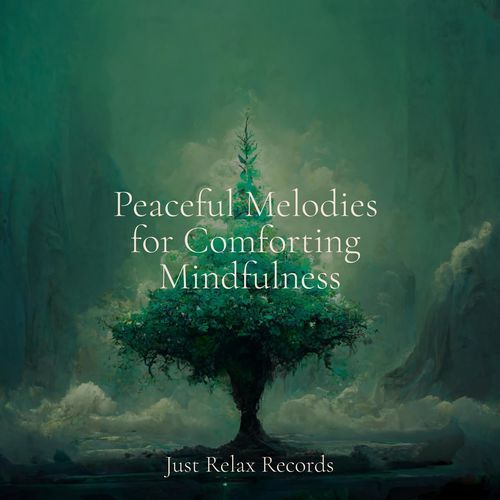 Peaceful Melodies for Comforting Mindfulness