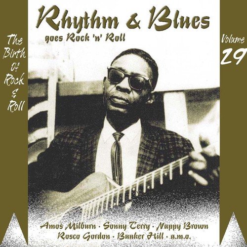 Rhythm & Blues Goes Rock & Roll, Vol. 29