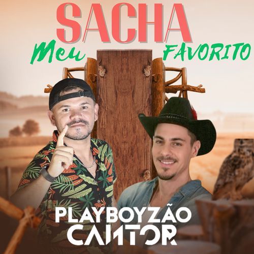 Sacha Meu Favorito_poster_image