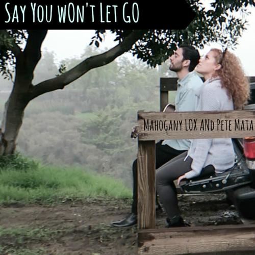 Say You Won&#039;t Let Go_poster_image