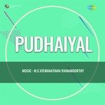 Sinna Sinna Ezhai Pinni (From "Pudhaiyal")