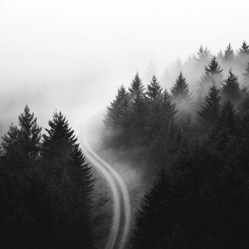 Sommeil Profond et Réparateur (Forest)