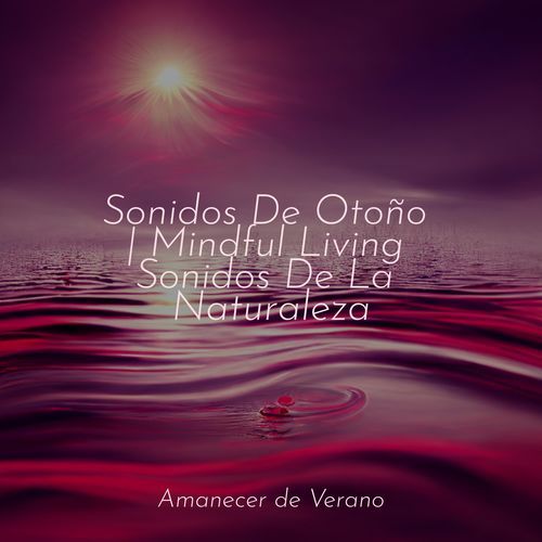 El Boogie del Salón de la Colmena cover art