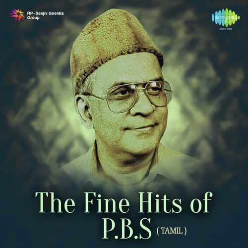 The Fine Hits Of P.B.S.