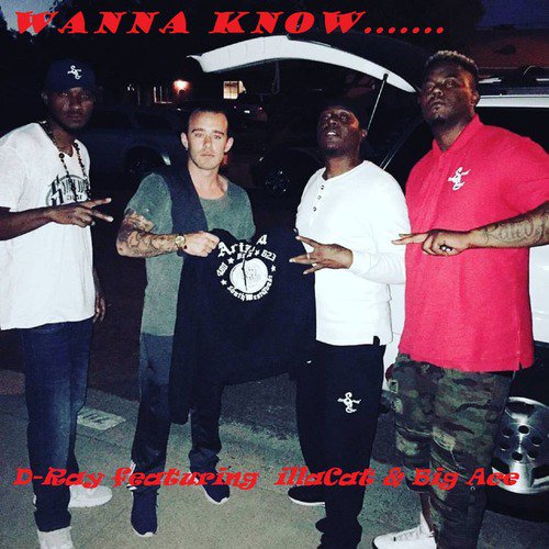 Wanna Know (feat. Big Ace & illaCat)
