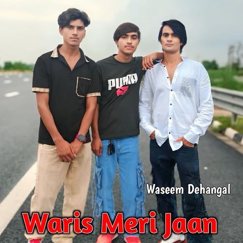 Waris Meri Jaan