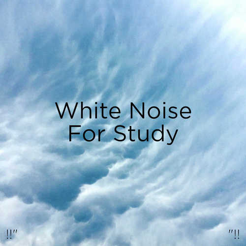 !!" White Noise For Study "!!