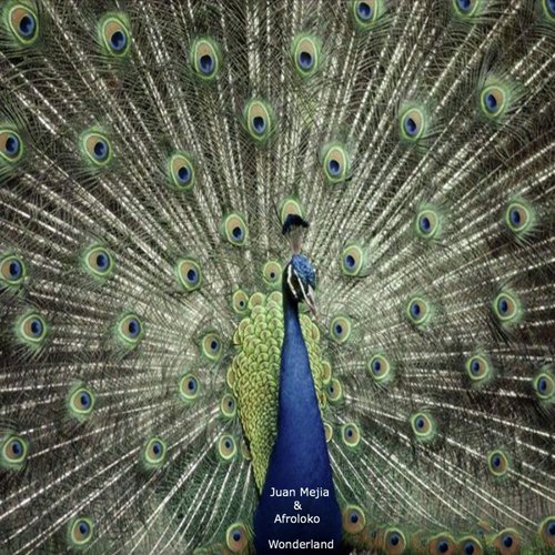 Wonderland (The Disclosure Project Remix) cover art