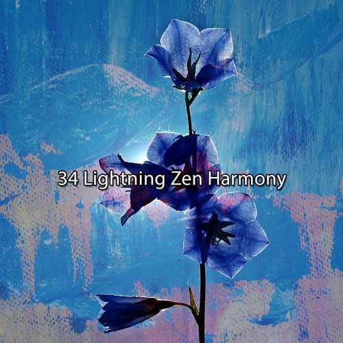 34 Lightning Zen Harmony_poster_image