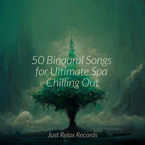 50 Binaural Songs for Ultimate Spa Chilling Out