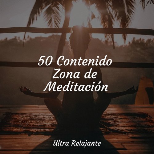 50 Contenido Zona de Meditación