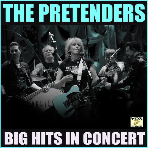 Big Hits in Concert (Live)_poster_image