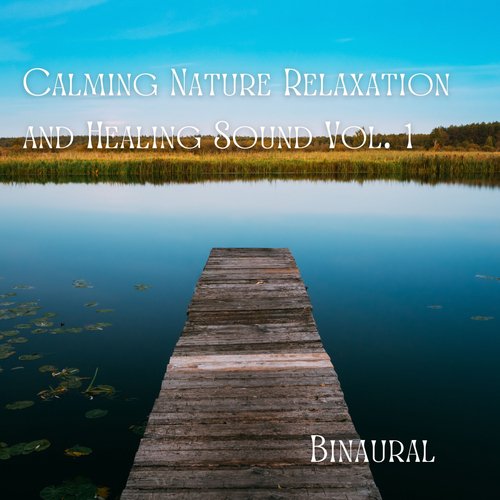 Binaural: Calming Nature Relaxation and Healing Sound Vol. 1 - 1 Hour_poster_image