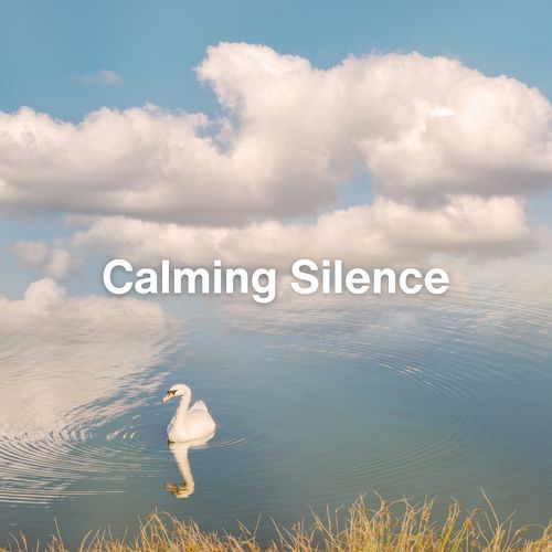 Atmosphere Calm (Relaxing Ambient Music) cover art