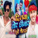 Dilwa Tor Chhinar Ho Gelau