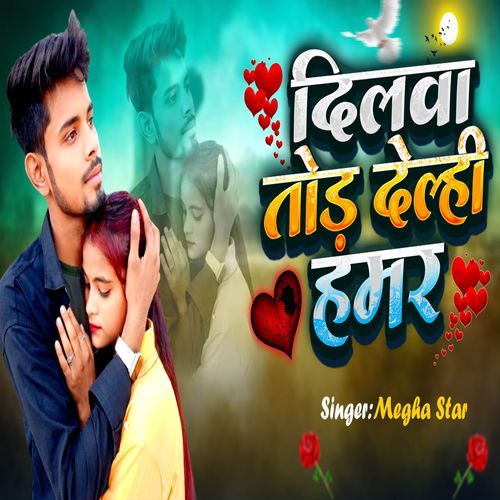 Dilwa Tor Delhi Hamar