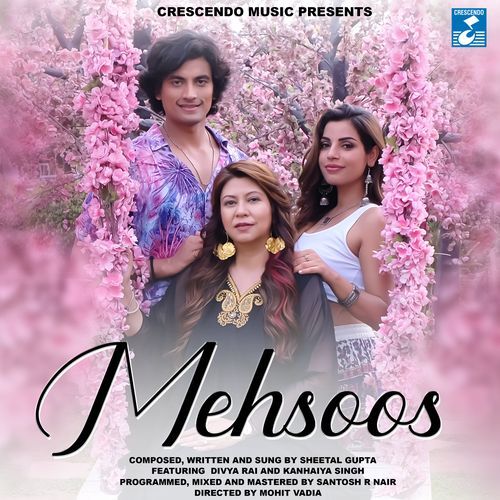 Mehsoos (Studio)