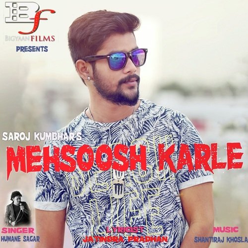 Mehsoosh Karle