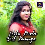Nilu Moke Dil Mange
