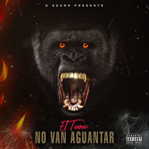 No Van Aguantar_poster_image