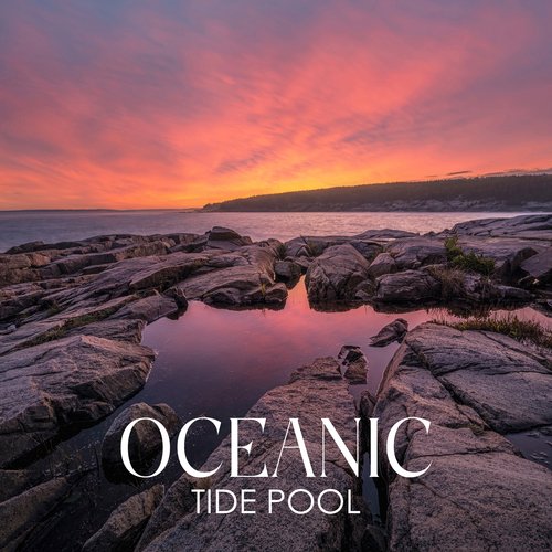 Oceanic Tide Pool: Restful Nature Collection, Night Slumber, Ocean Ambience