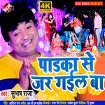 Padaka Se Jar Gail Ba