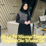 Sa La Pe Niazegi Dunya Ongara Che Wrana Da