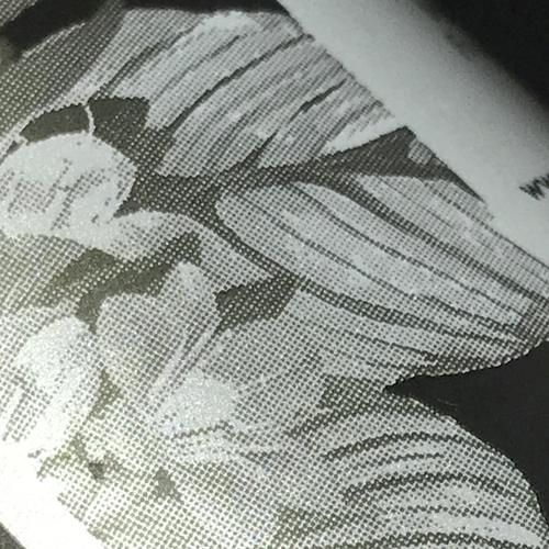 SideWave cover art