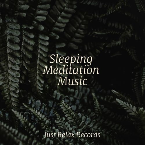 Sleeping Meditation Music_poster_image