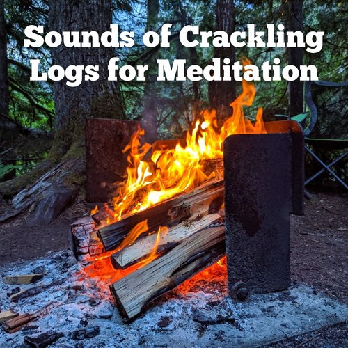 Sounds of Crackling Logs for Meditation - 1 Hour_poster_image