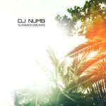 Summer Dreams (Radio Edition)