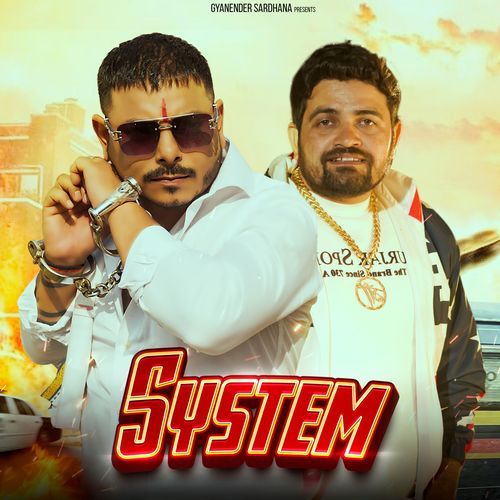 System