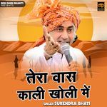 Tera Vas Kali Kholi Mein