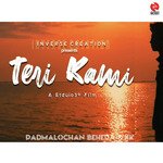 Teri Kami