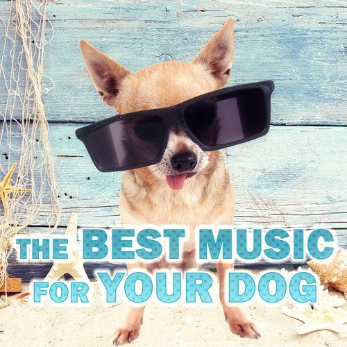 The Best Music for Your Dog – Relaxing Music for Your Pet, Calm Your Anxious Dog, Nature Sounds for Relaxation, New Age Music for Puppy & Kitty, Music for Cats to Calm Down