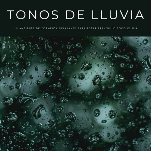 Música De Lluvia cover art