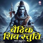 Vaidic Shiv Stuti