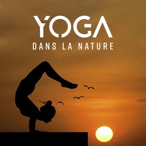 Yoga dans la nature (Musique relaxante, Harmonie, Détente et paix intérieure)_poster_image