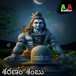 sharanam Shambu
