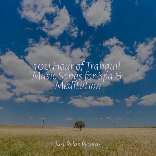 100 Hour of Tranquil Music Songs for Spa & Meditation