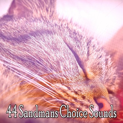 44 Sandmans Choice Sounds