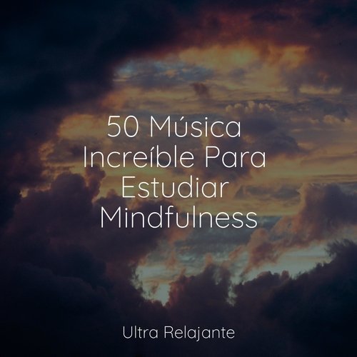 50 Música Increíble Para Estudiar Mindfulness_poster_image