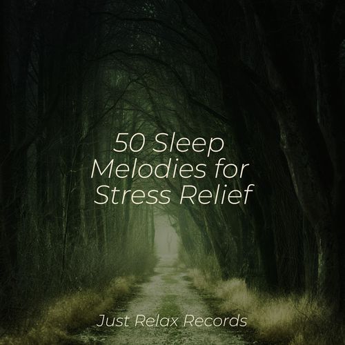 50 Sleep Melodies for Stress Relief